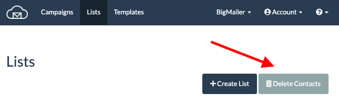delete contacts in BigMailer